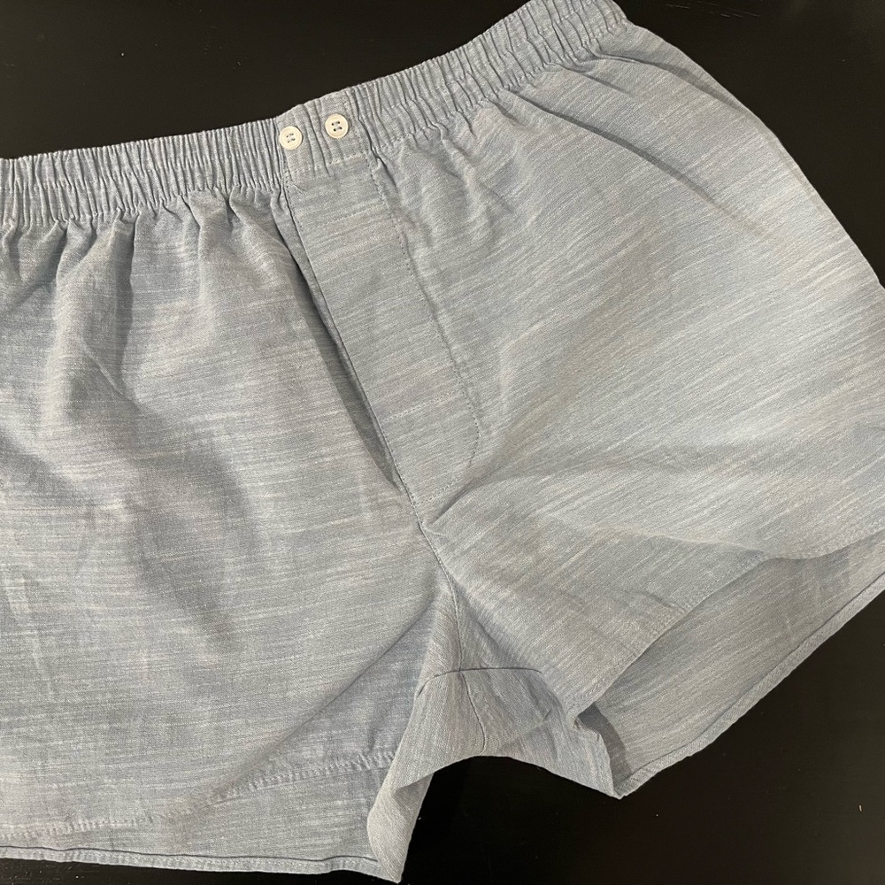 Zara Sky Blue Elastic Waist Shorts